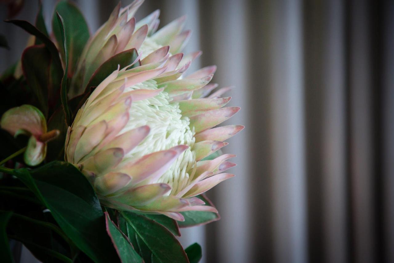 The Northcliff Boutique Hotel Johannesburg Kültér fotó